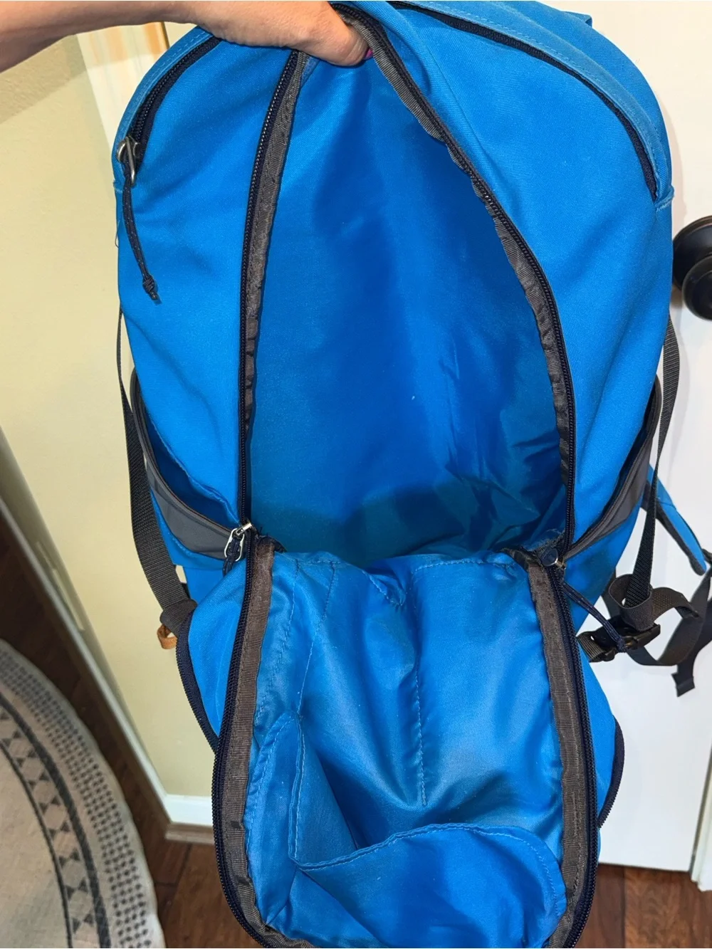 Patagonia Backpack